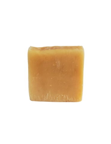 Organic Honey Shampoo for Dogs and Horses 2