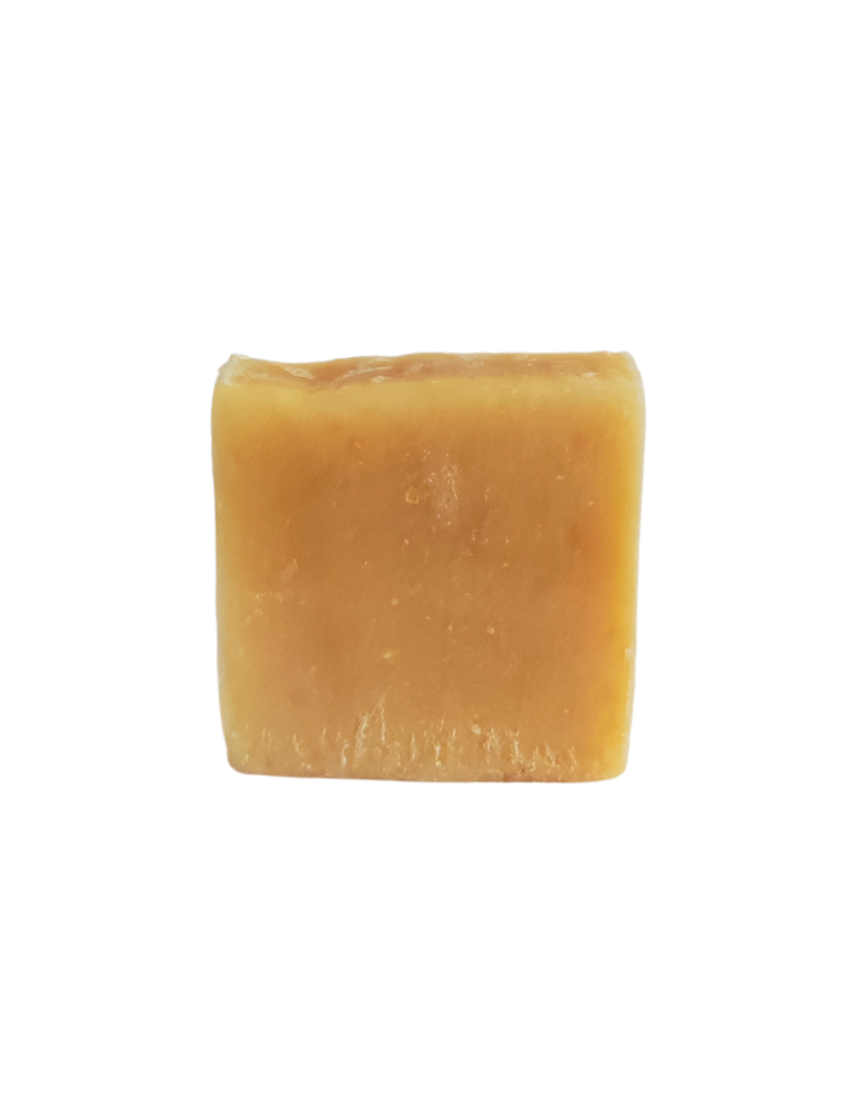 Organic Honey Shampoo for Dogs and Horses