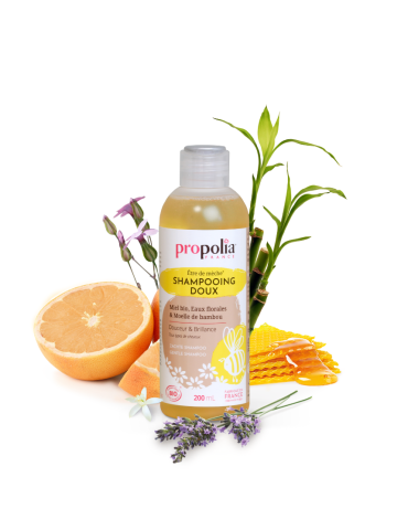 Organic Honey and Bamboo Gentle Shampoo 2
