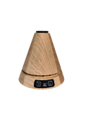 New L2 Birch