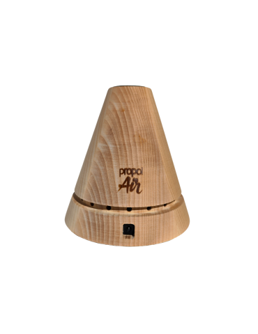 New L3 Birch 2