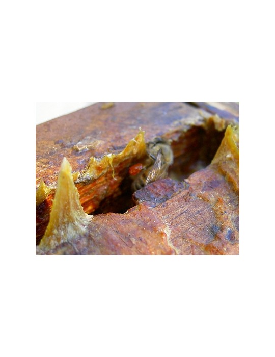 Propolis