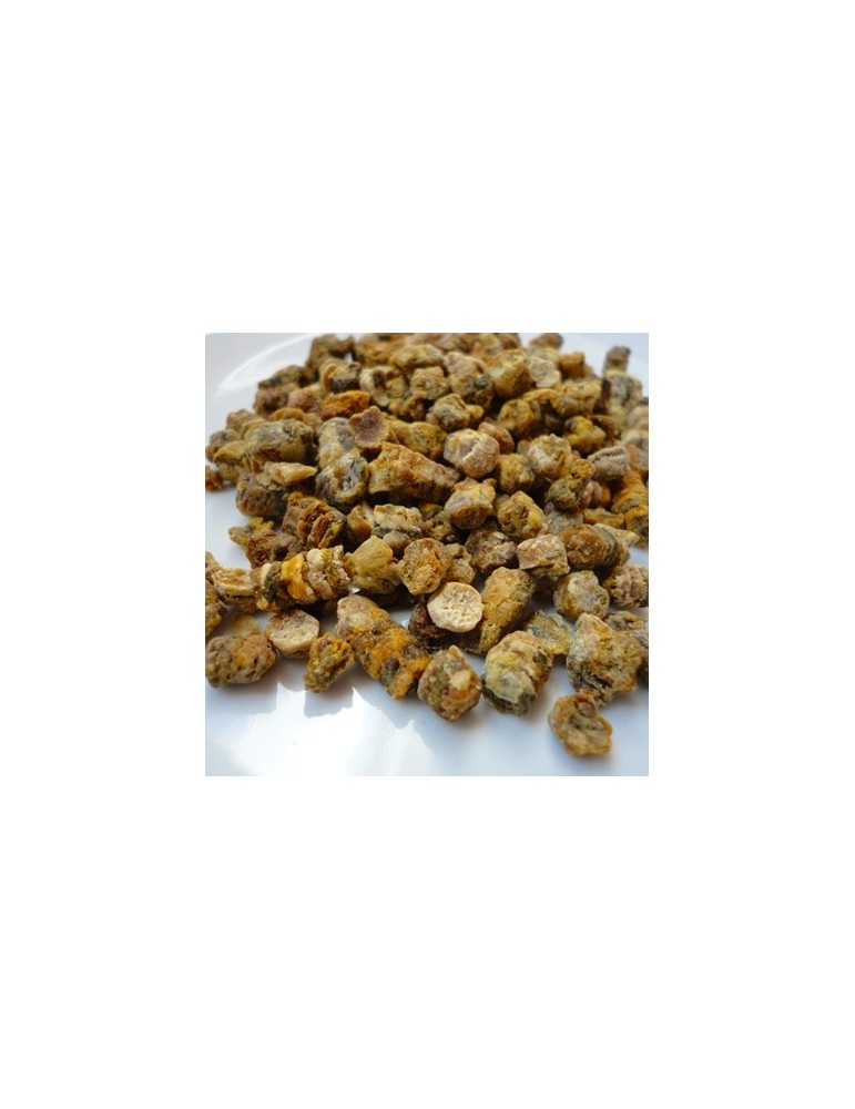 Api-Nuggetz, Organic Bee Bread