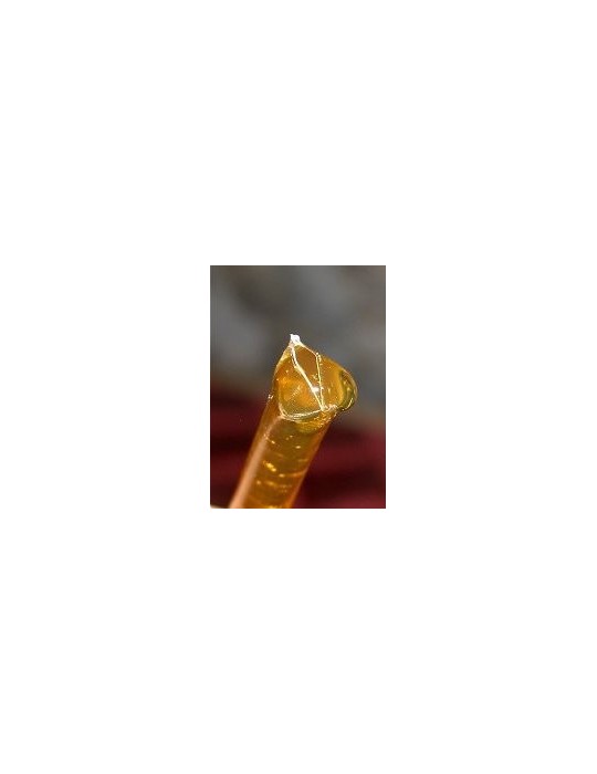 Organic Clover Honey Sticks, 20pk