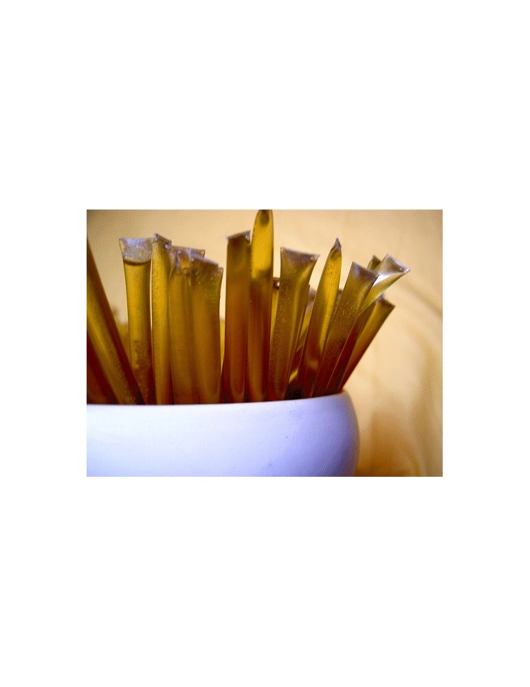 Organic Clover Honey Sticks, 20pk