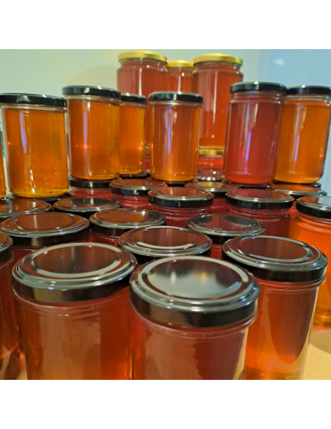 Bordeaux Wildflower honey, 13.9oz, 395g 2