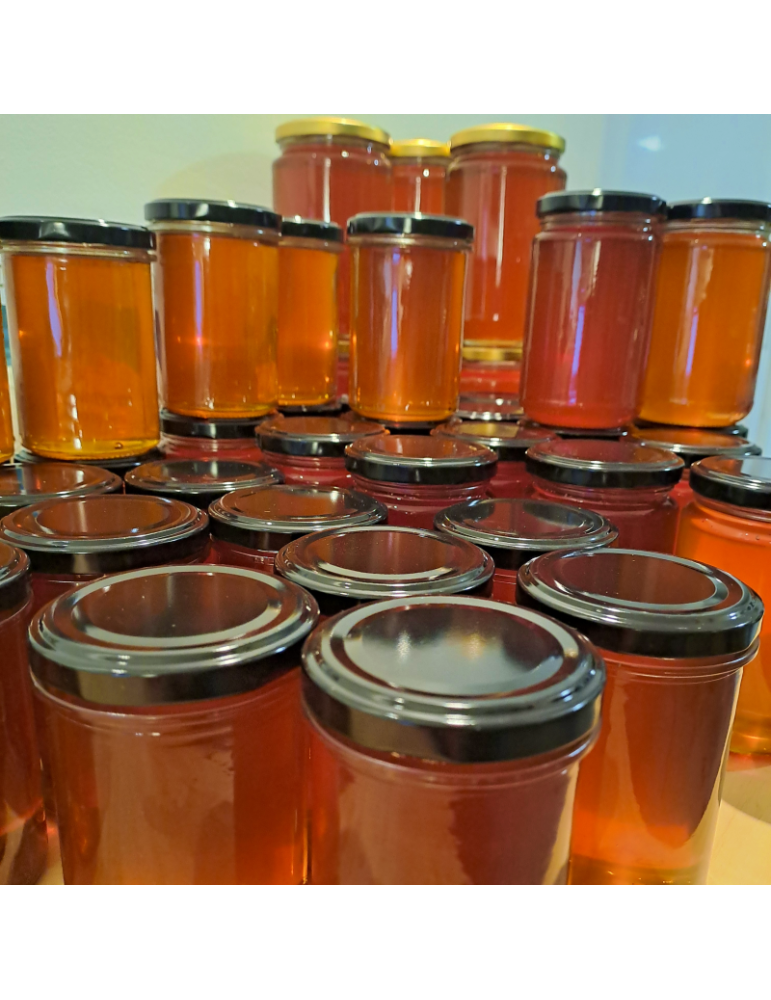 Wildflower Honey of Bordeaux