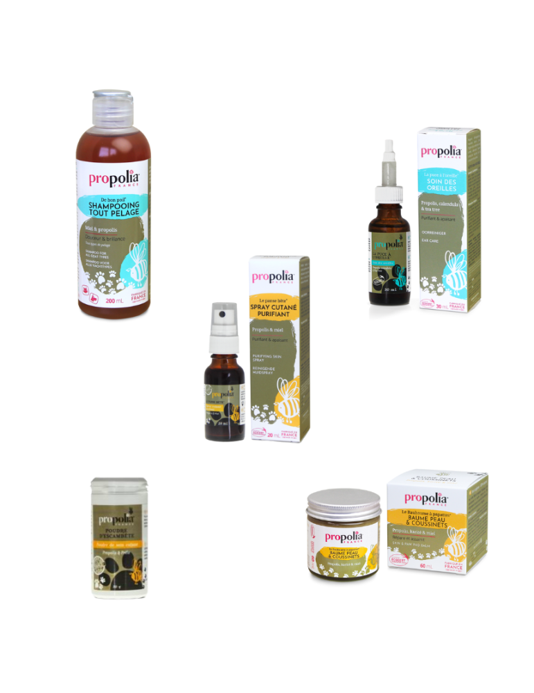 Pet Care Essentials Pack