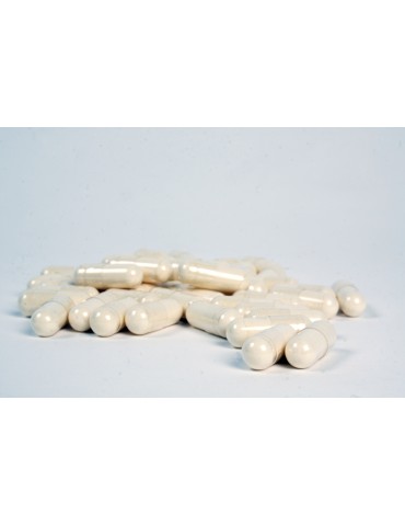Royal Jelly capsules - 1000mg - 1000 capsules per bag