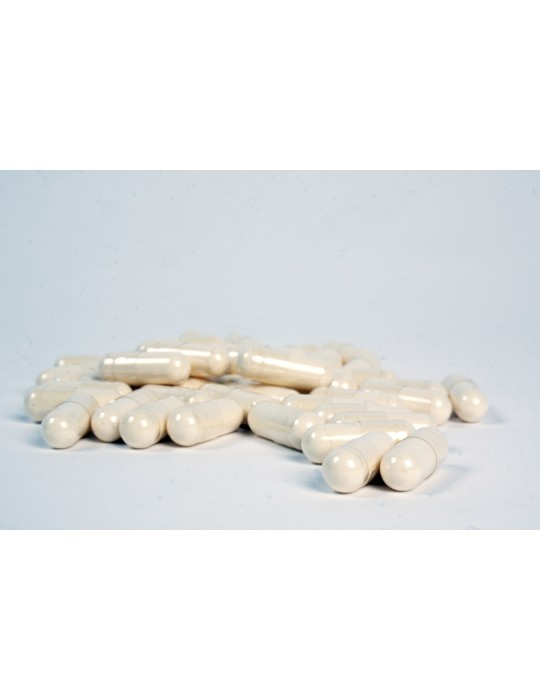 Royal Jelly 1000mg capsules in 1000 count bag