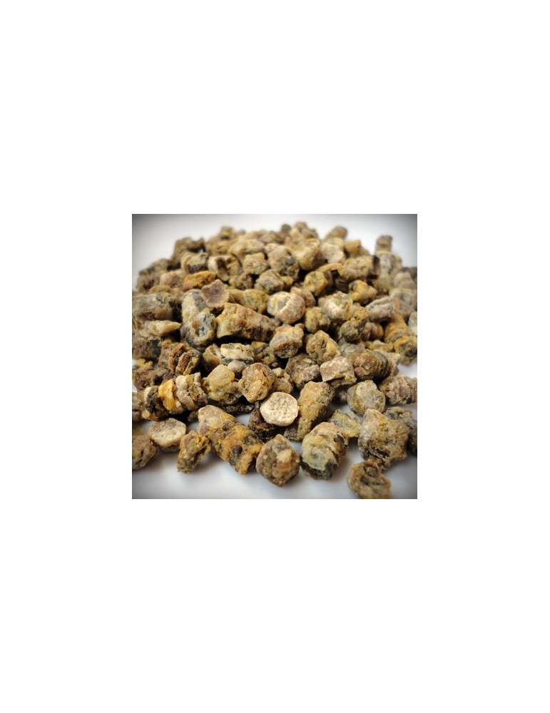 Api-Nuggetz, Bee Bread, 1kg, 2.2lbs