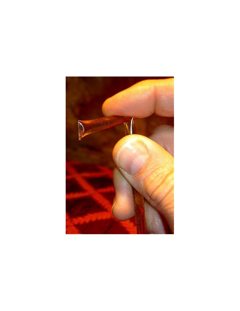 Organic Clover Honey Sticks, 10pk