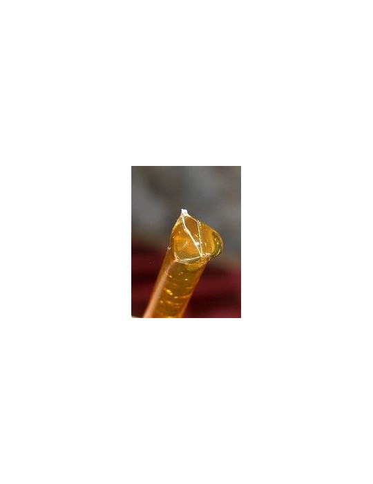 Blackberry Blossom Honey Sticks, 25pk