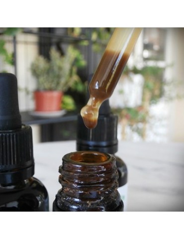 Brazilian Green Propolis Extract 2