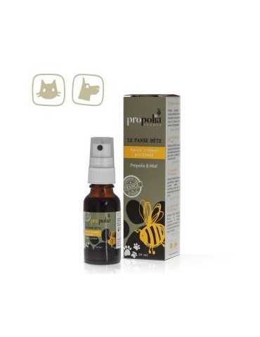Skin Cleansing Spray for cats and doghs