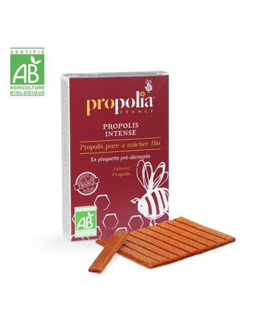 Organic Chewable Propolis Strips