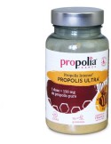 Ultra Pure Propolis Powder