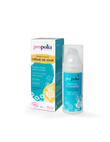 Organic Day Cream for Normal Skin 2