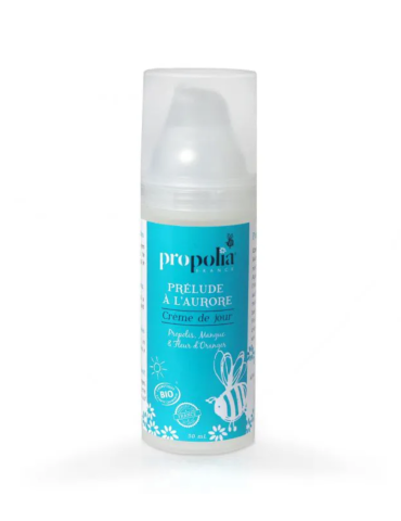 Organic Day Cream for Normal Skin