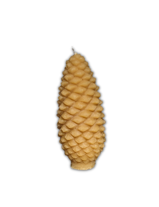 Pine Cone Beeswax Candle