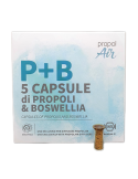 Propolair Refill Cartridges, P+B