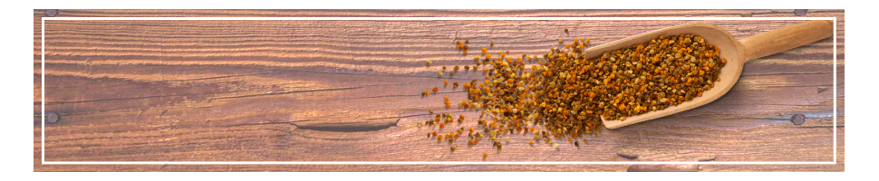 Organic Bee Bread & Pollen