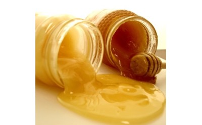 Oral Intake Of Royal Jelly Could Improve Bone Quality