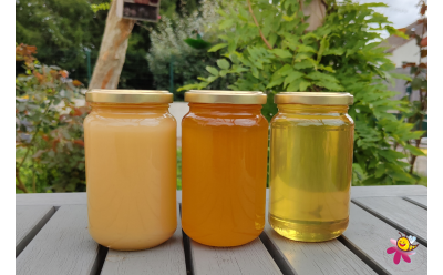 Honey: A Healthy Choice for Diabetics
