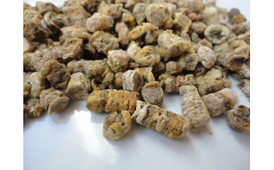 Bee Bread May Improve Sperm Counts in Obese Men