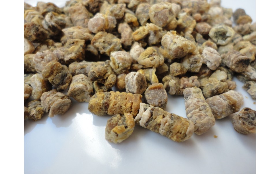 Bee Bread May Improve Sperm Counts in Obese Men