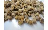 Bee Bread May Improve Sperm Counts in Obese Men